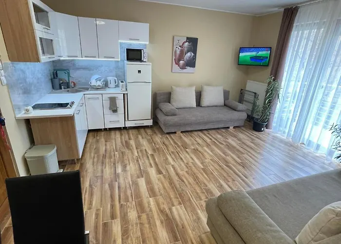Ildiko Wellnes Apartman