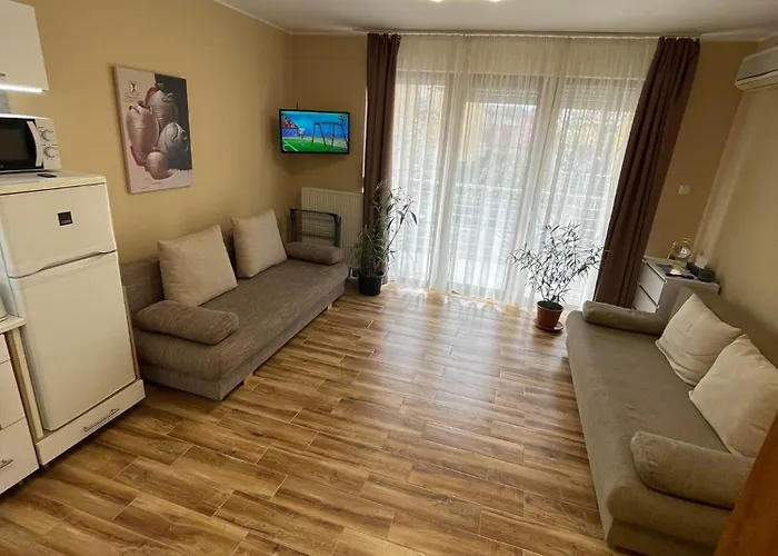 Ildiko Wellnes Apartman
